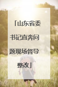 山东省委书记直奔问题现场督导整改