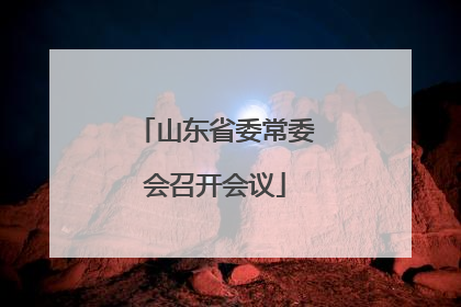 山东省委常委会召开会议