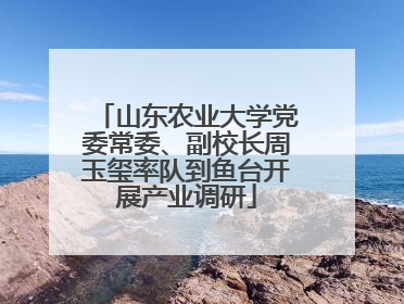 山东农业大学党委常委、副校长周玉玺率队到鱼台开展产业调研
