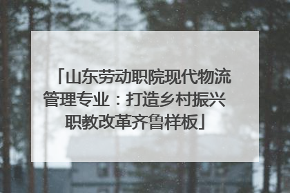 山东劳动职院现代物流管理专业：打造乡村振兴职教改革齐鲁样板