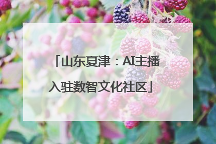 山东夏津：AI主播入驻数智文化社区
