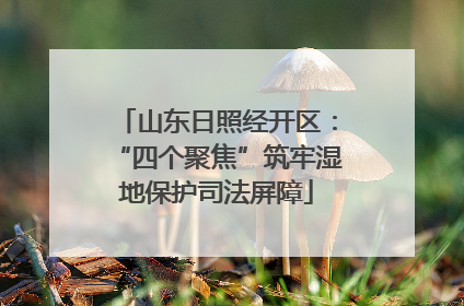 山东日照经开区：“四个聚焦”筑牢湿地保护司法屏障