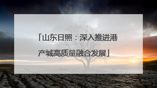 山东日照：深入推进港产城高质量融合发展