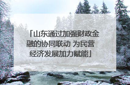 山东通过加强财政金融的协同联动 为民营经济发展加力赋能