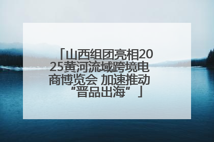 山西组团亮相2025黄河流域跨境电商博览会 加速推动“晋品出海”