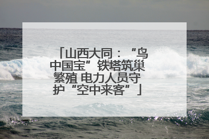 山西大同：“鸟中国宝”铁塔筑巢繁殖 电力人员守护“空中来客”