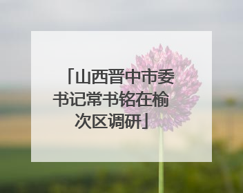 山西晋中市委书记常书铭在榆次区调研