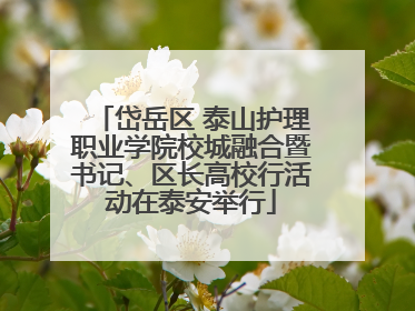 岱岳区 泰山护理职业学院校城融合暨书记、区长高校行活动在泰安举行