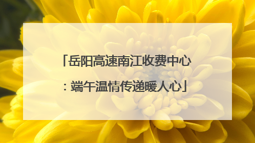岳阳高速南江收费中心：端午温情传递暖人心