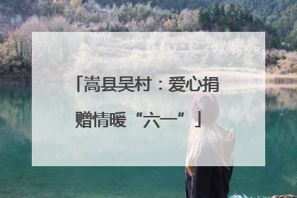 嵩县吴村：爱心捐赠情暖“六一”