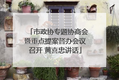 市政协专题协商会暨重点提案督办会议召开 黄喜忠讲话