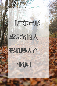 广东已形成完备的人形机器人产业链