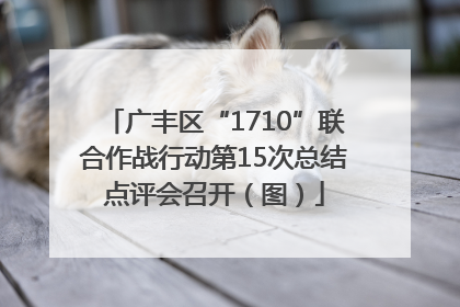 广丰区“1710”联合作战行动第15次总结点评会召开（图）