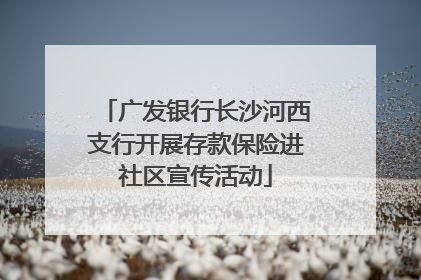 广发银行长沙河西支行开展存款保险进社区宣传活动