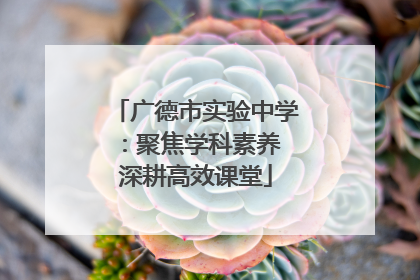 广德市实验中学：聚焦学科素养 深耕高效课堂