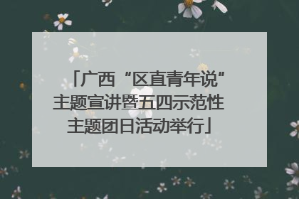 广西“区直青年说”主题宣讲暨五四示范性主题团日活动举行