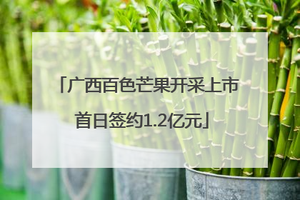 广西百色芒果开采上市 首日签约1.2亿元