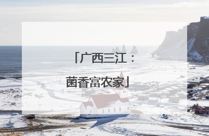 广西三江：菌香富农家