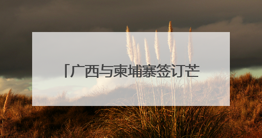 广西与柬埔寨签订芒果干、榴莲采购协议和贸易合作框架协议