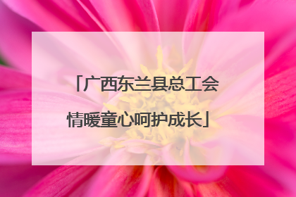 广西东兰县总工会情暖童心呵护成长