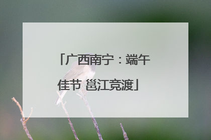 广西南宁：端午佳节 邕江竞渡