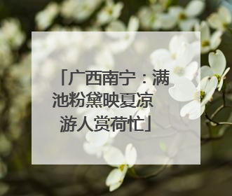 广西南宁：满池粉黛映夏凉 游人赏荷忙
