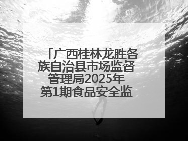 广西桂林龙胜各族自治县市场监督管理局2025年第1期食品安全监督抽检信息公告