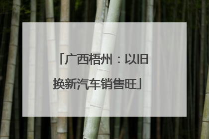 广西梧州：以旧换新汽车销售旺