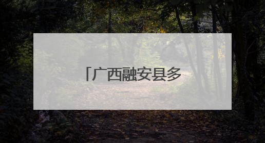 广西融安县多部门打出服务企业“组合拳”