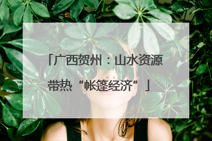 广西贺州：山水资源带热“帐篷经济”