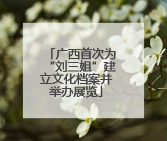 广西首次为“刘三姐”建立文化档案并举办展览