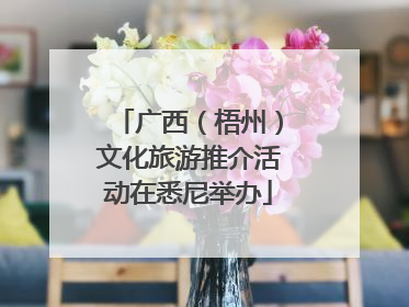 广西（梧州）文化旅游推介活动在悉尼举办