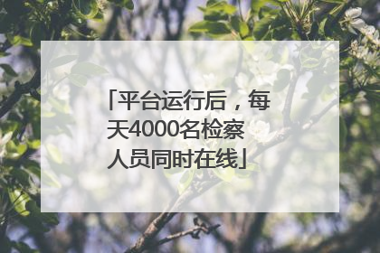 平台运行后，每天4000名检察人员同时在线