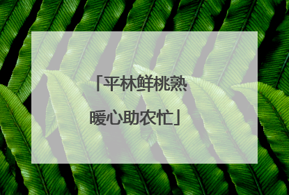 平林鲜桃熟 暖心助农忙