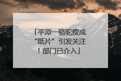 平潭一骆驼瘦成“纸片”引发关注！部门已介入