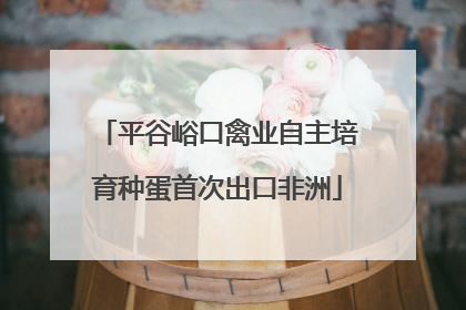 平谷峪口禽业自主培育种蛋首次出口非洲