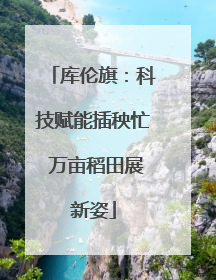 库伦旗：科技赋能插秧忙 万亩稻田展新姿