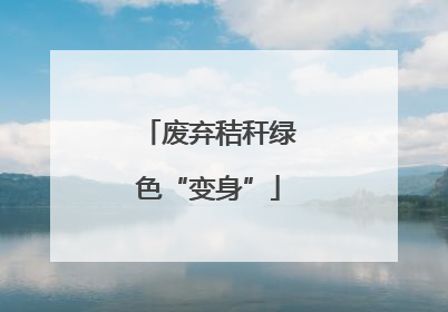 废弃秸秆绿色“变身”