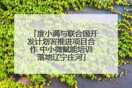 度小满与联合国开发计划署推进项目合作 中小微赋能培训落地辽宁庄河