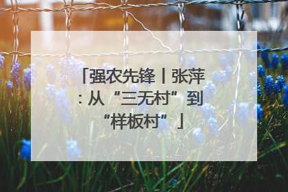 强农先锋丨张萍：从“三无村”到“样板村”