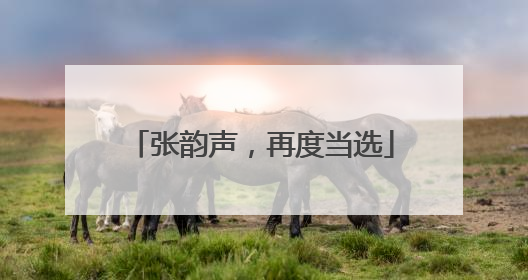 张韵声，再度当选