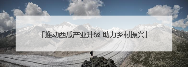 推动西瓜产业升级 助力乡村振兴
