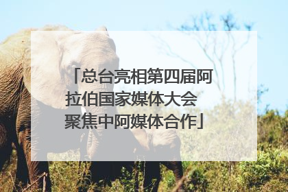总台亮相第四届阿拉伯国家媒体大会 聚焦中阿媒体合作