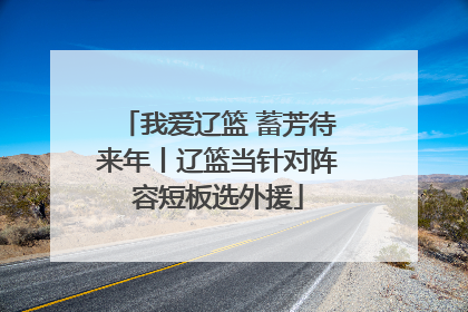 我爱辽篮 蓄芳待来年丨辽篮当针对阵容短板选外援