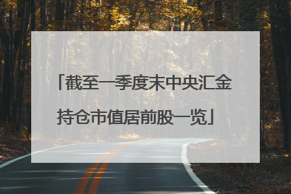 截至一季度末中央汇金持仓市值居前股一览