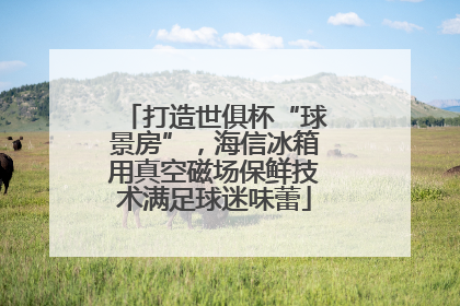 打造世俱杯“球景房”，海信冰箱用真空磁场保鲜技术满足球迷味蕾