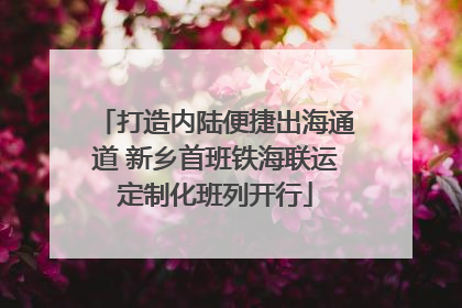 打造内陆便捷出海通道 新乡首班铁海联运定制化班列开行