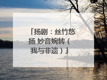 扬剧：丝竹悠扬 妙音婉转（我与非遗）