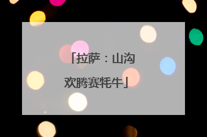拉萨：山沟欢腾赛牦牛