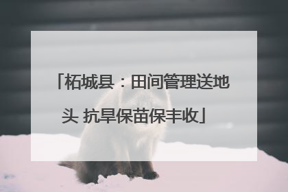 柘城县：田间管理送地头 抗旱保苗保丰收
